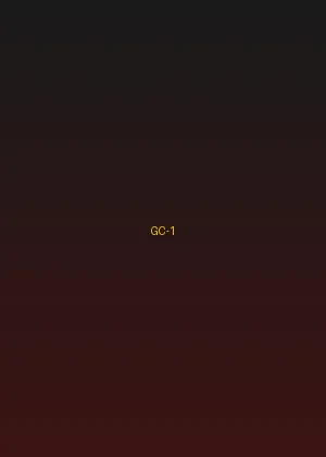 四虎 - 暗夜追踪海报